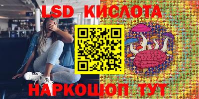 ПСИЛОЦИБИНОВЫЕ ГРИБЫ Новокубанск