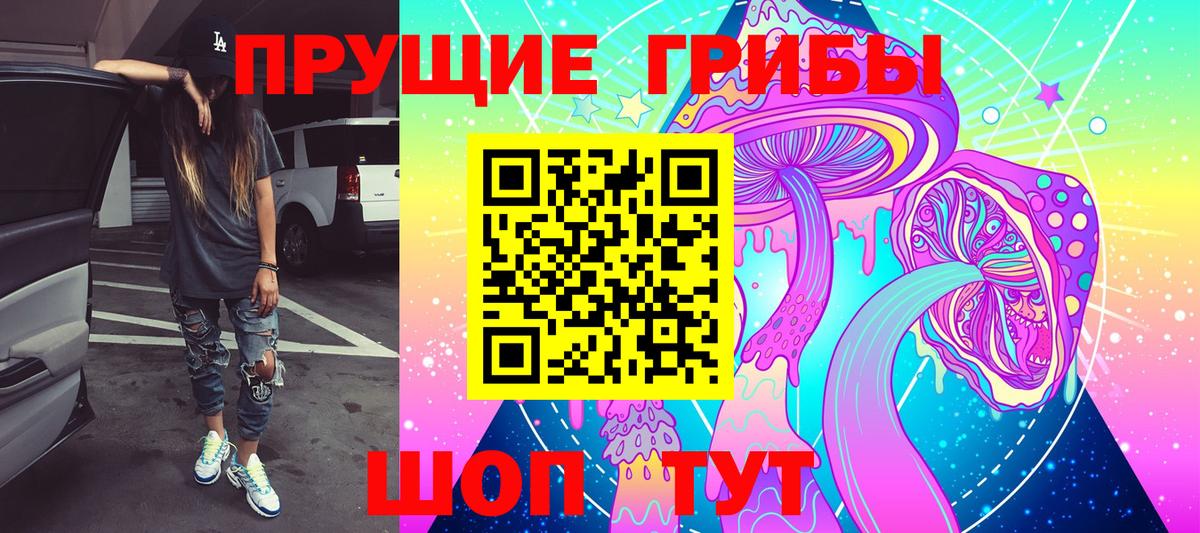 Псилоцибиновые грибы Cubensis Севастополь